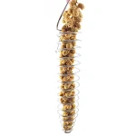 Stainless Steel Bird Parrot Feeder Food Fruits Basket Holder Foraging Equipment Bird Cage Feeding Device Birds Training — photo 3