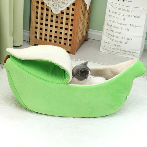 Title 5, Banana Nest With Cover In Summer. Provide your ...