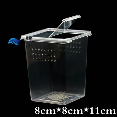 Title 2, Insect feeding box provides safe and efficient ...