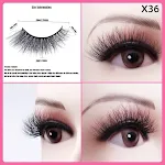 Style36X