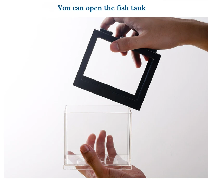 Title 9, Betta fish Fighting Cylinder Rumble Fish Cylind...