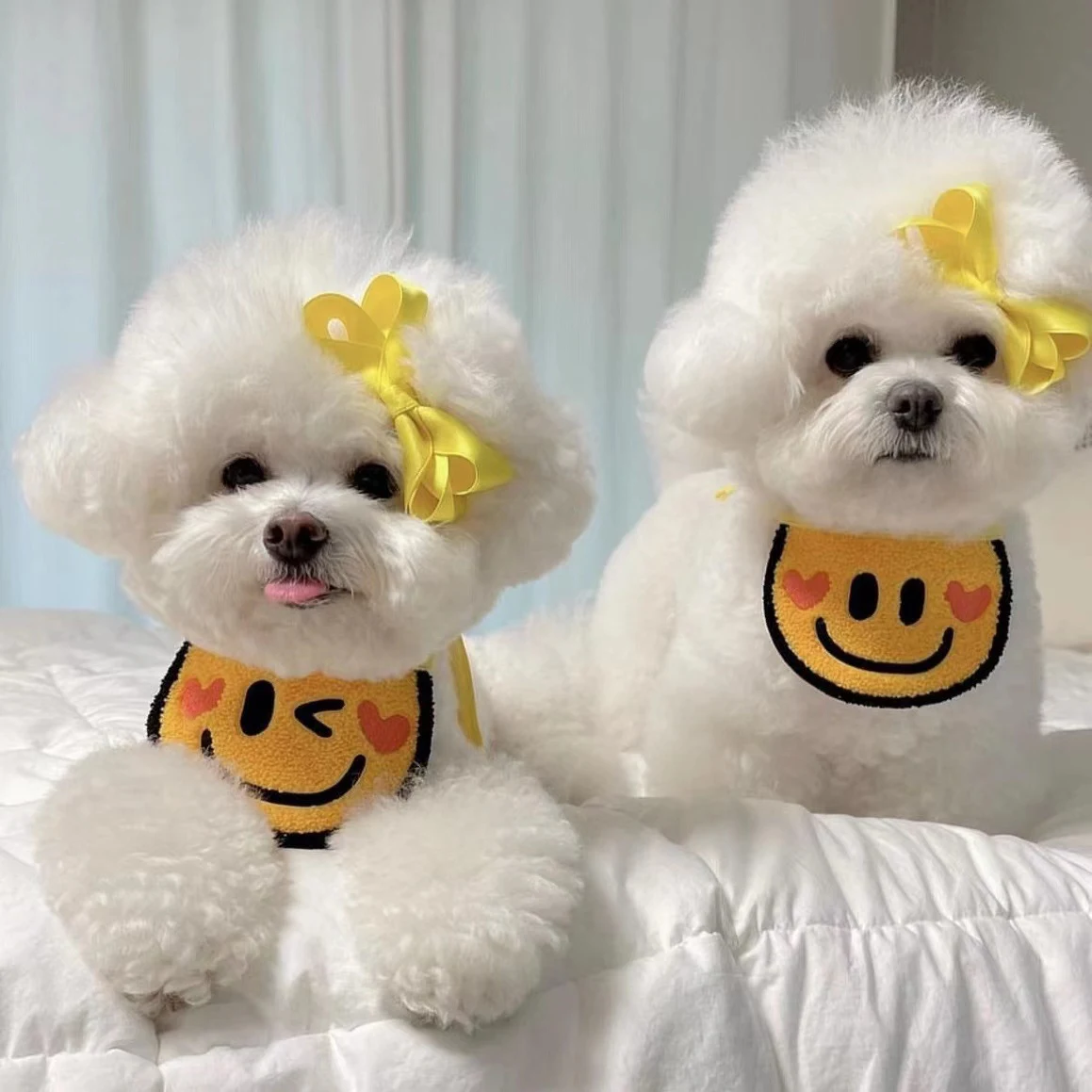 Title 8, Ins Pet Bib Cute Yellow Saliva Towel Cat Bib Do...