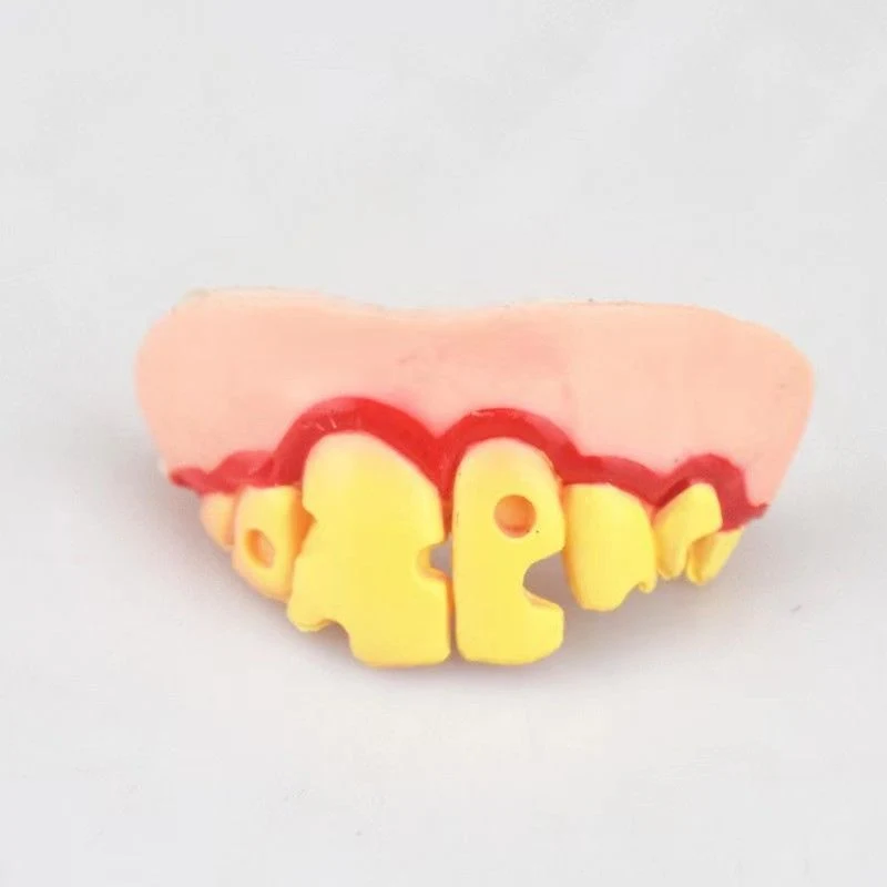 Brinquedo completo engraçado para Corgi com dentes de coelho! Conjunto de dentes falsos para diversão e brincadeiras interativas. — foto 7