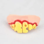 Brinquedo completo engraçado para Corgi com dentes de coelho! Conjunto de dentes falsos para diversão e brincadeiras interativas. — foto 7
