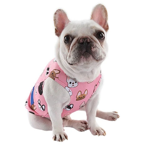 Title 6, Dog summer cooling clothes to beat the heat. Ke...