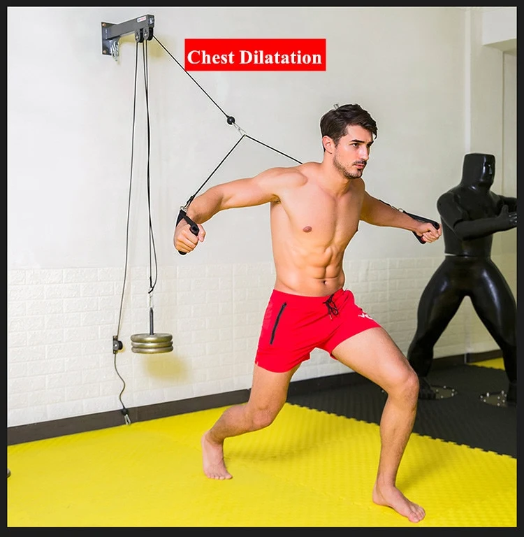 Title 7, Muscle trainer for effective home workouts. Bui...
