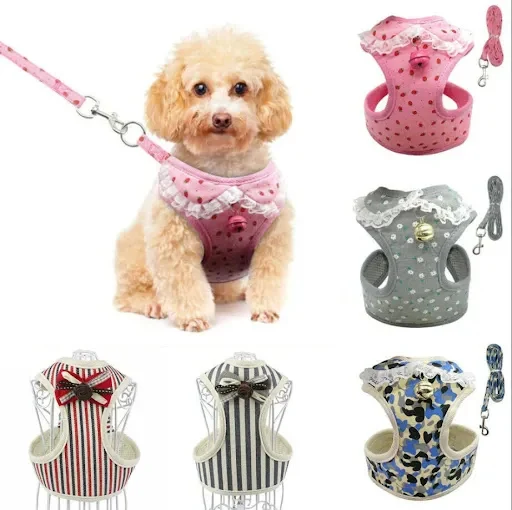 Title 9, Durable and comfortable dog leash for daily wal...