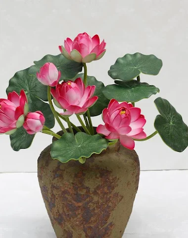 Image product - 3