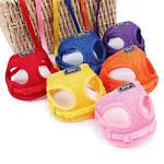 miniatures image - 9