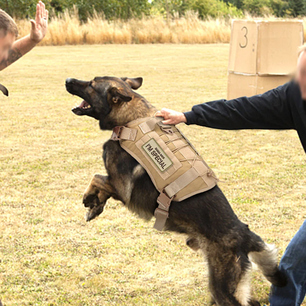 Title 16, Dog Military Tactical Sticker Label Collar Harn...