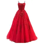 Camisole Ball Gown Long Tulle Lace Party Evening Gown — photo 5