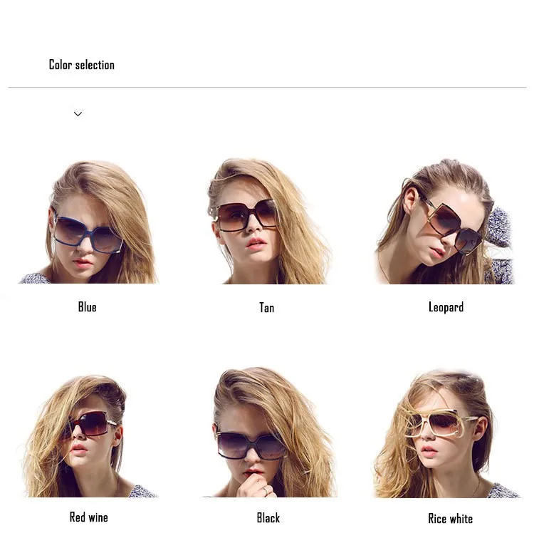 Title 5, Fashion Womens Large Frame Square Sunglasses