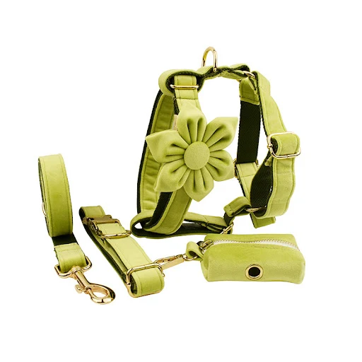 Title 2, Fabric Velvet Dog Collar