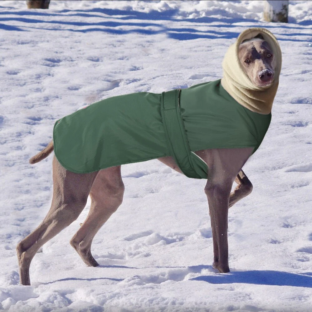 Title 14, Ropa Cálida de Algodón para Mascotas con Varita...