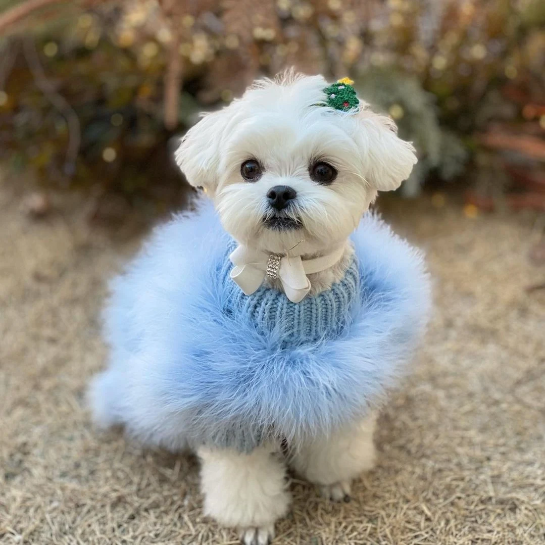 Title 4, Lady Turkey Feather Warm Autumn And Winter Luxu...