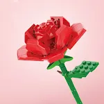 The rose JK2631