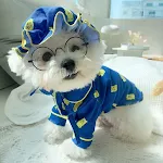 Suit with hat