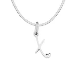 X Stainless Steel Color
