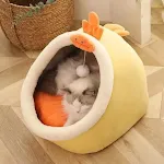 Chick