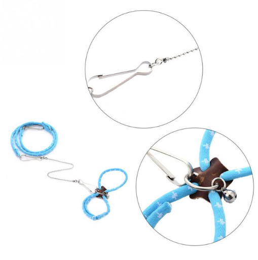 Title 3, Hamster Training Traction Rope — Safe and Fun W...