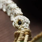 miniatures image - 13