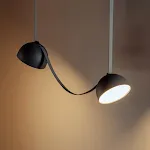 White Light