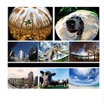 miniatures image - 2