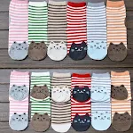 All colors 6 pairs