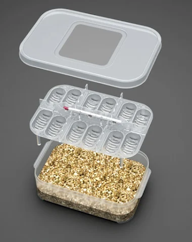 Image product - 2