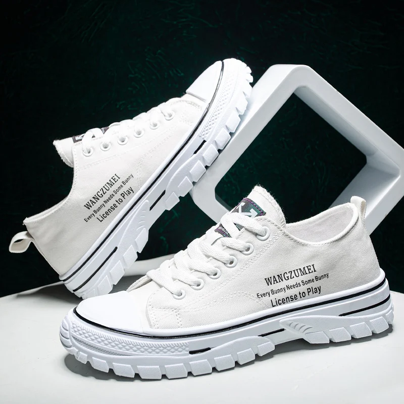Zapatos de tabla de verano nuevos, ligeros y transpirables, de lona de moda, estilo coreano, tendencia de Hong Kong, zapatos informales para hombre — foto 16