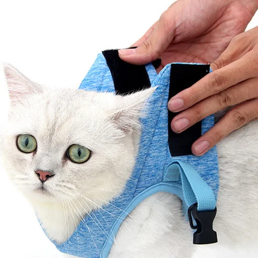 Title 5, Chest Harness Cat Leash Vest for safe and comfo...