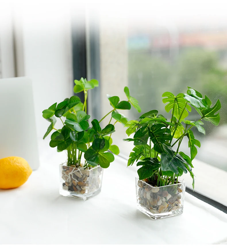 product image - 12