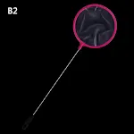 B2