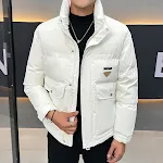 Men's Stand Collar Casual Versatile Down Jacket Lightweight and Warm Winter Coat Perfect for Everyday Wear and Various O — photo 2