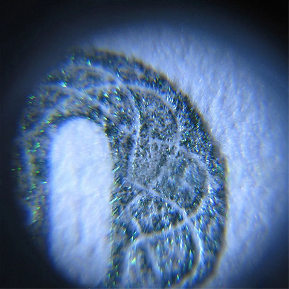 product image - 10