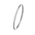 B091 Silver