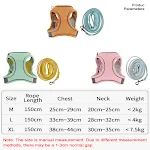 miniatures image - 1