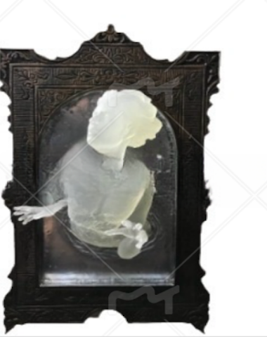 Image product - 3