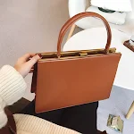 Net Red Mona Armpit Bag, a retro-simple clip bag, designed for style and convenience, providing easy access to your dail — photo 1