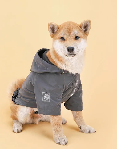 Image product - 2