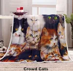 Crowd cats