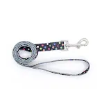 black leash