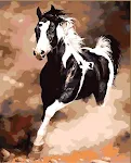 Horse racing