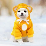 Leuke huisdieren worden kleding! Geniet van unieke, zachte en gepersonaliseerde kleding met de designs van je favoriete harige vrienden. — foto 6