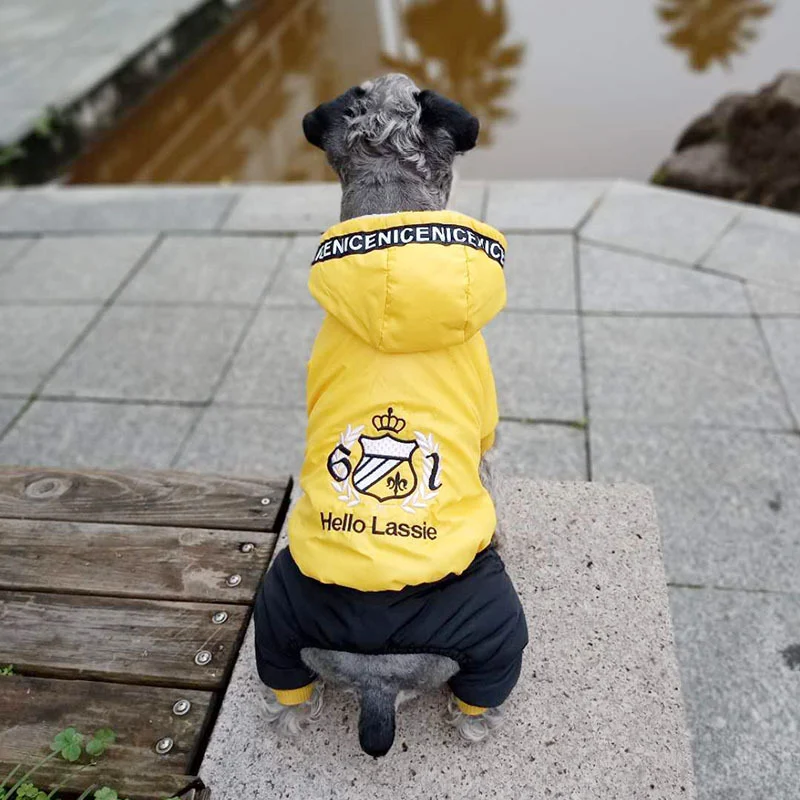 Warm puppy clothes Keep your puppy cozy and protected from the cold with our range of comfortable and warm clothes, ensu — photo 3
