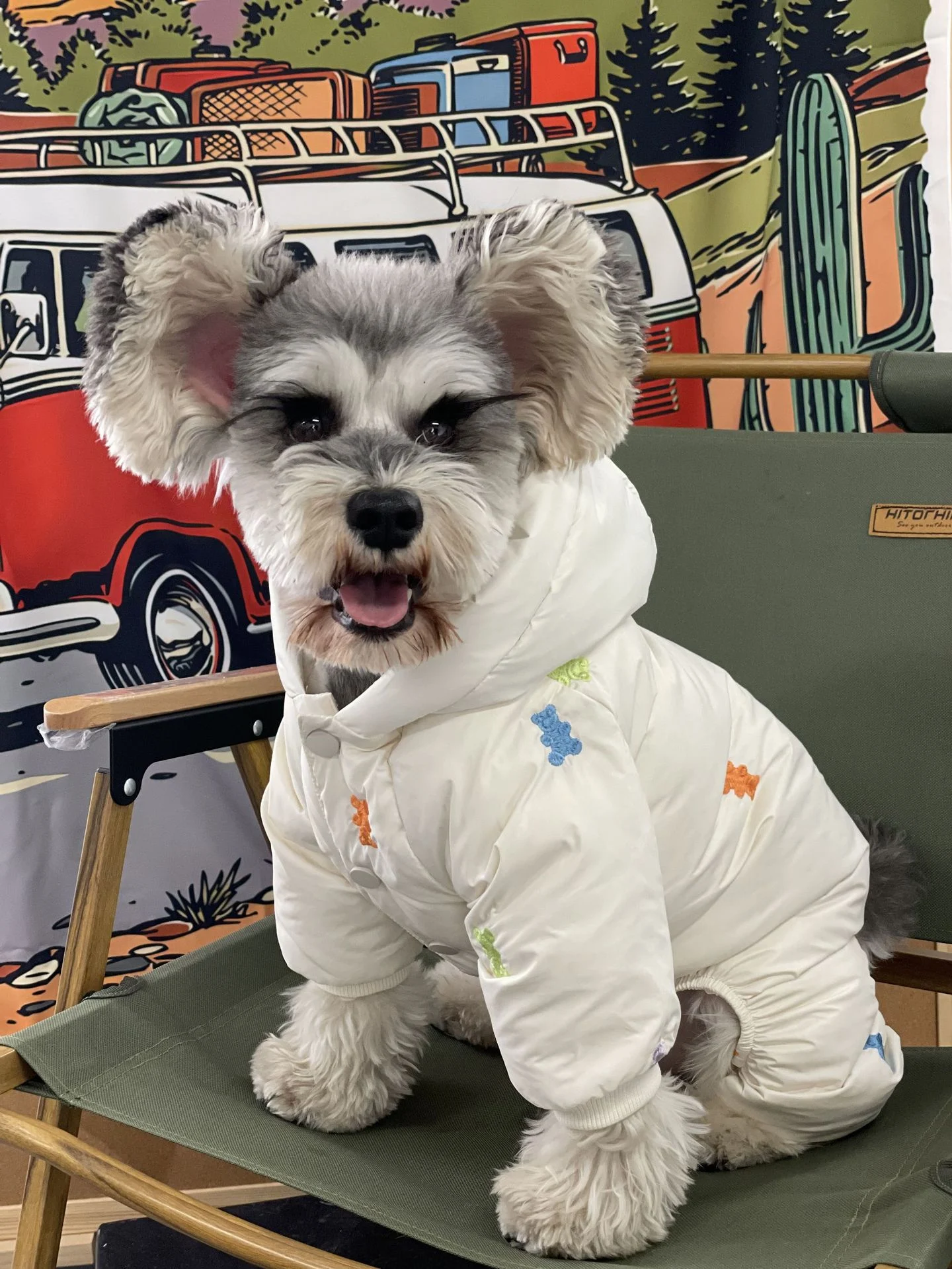 Title 18, Thickened Warm Dog Clothes Hooded for Teddy Sch...