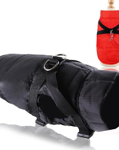 Image product - 2