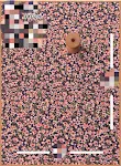miniatures image - 22
