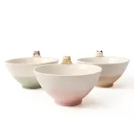 A set of three cat bowls