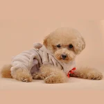 miniatures image - 2